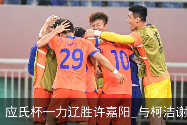 应氏杯一力辽胜许嘉阳 与柯洁谢科许皓鋐进4强